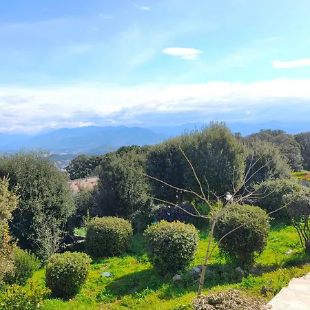3 With Garden In Ajaccio (Corsica)